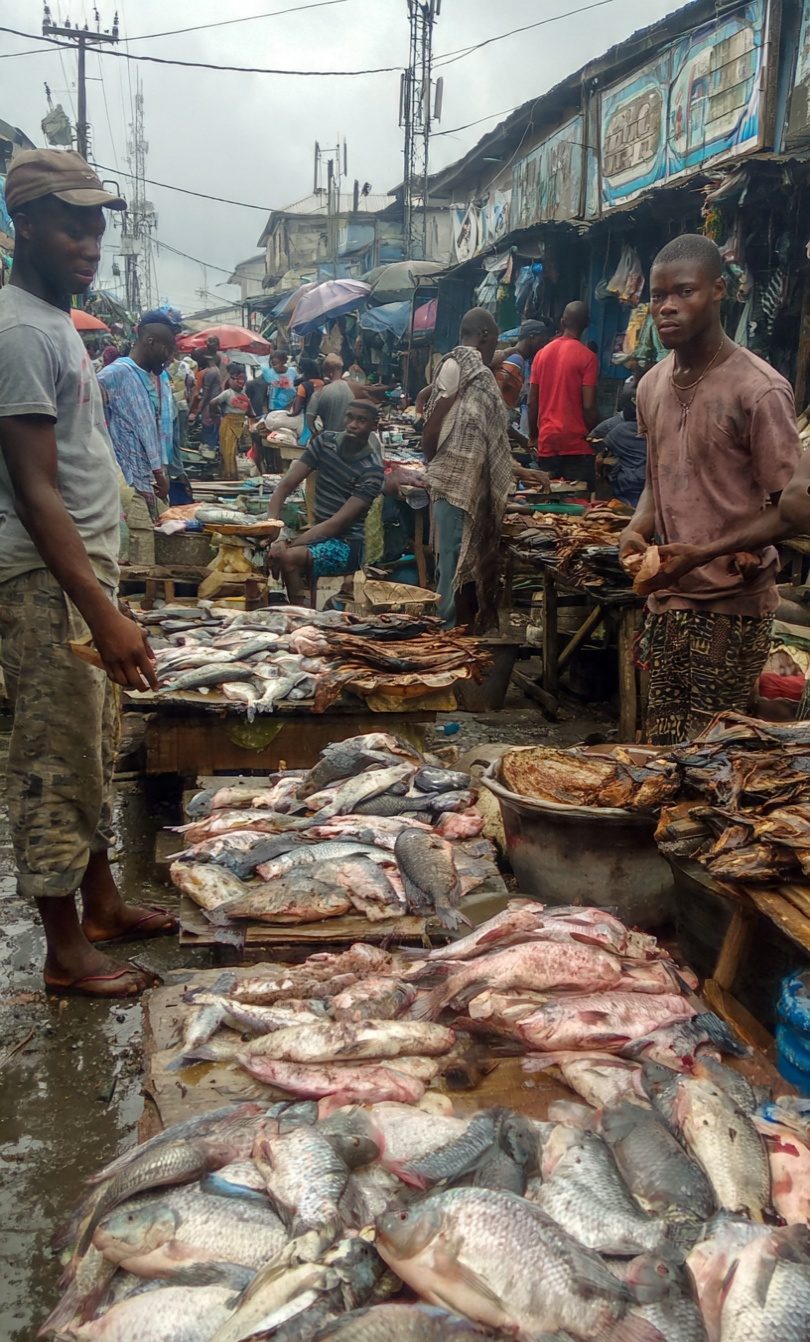 THE IMPORTANCE OF FISH PRODUCTION AND ITS MARKETING VALUE
