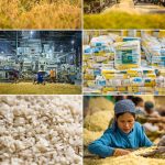 VALUE ADDITION AS A BASIS FOR ENHANCING PRODUCTIVITY IN RICE PRODUCTION AND PROCESSING