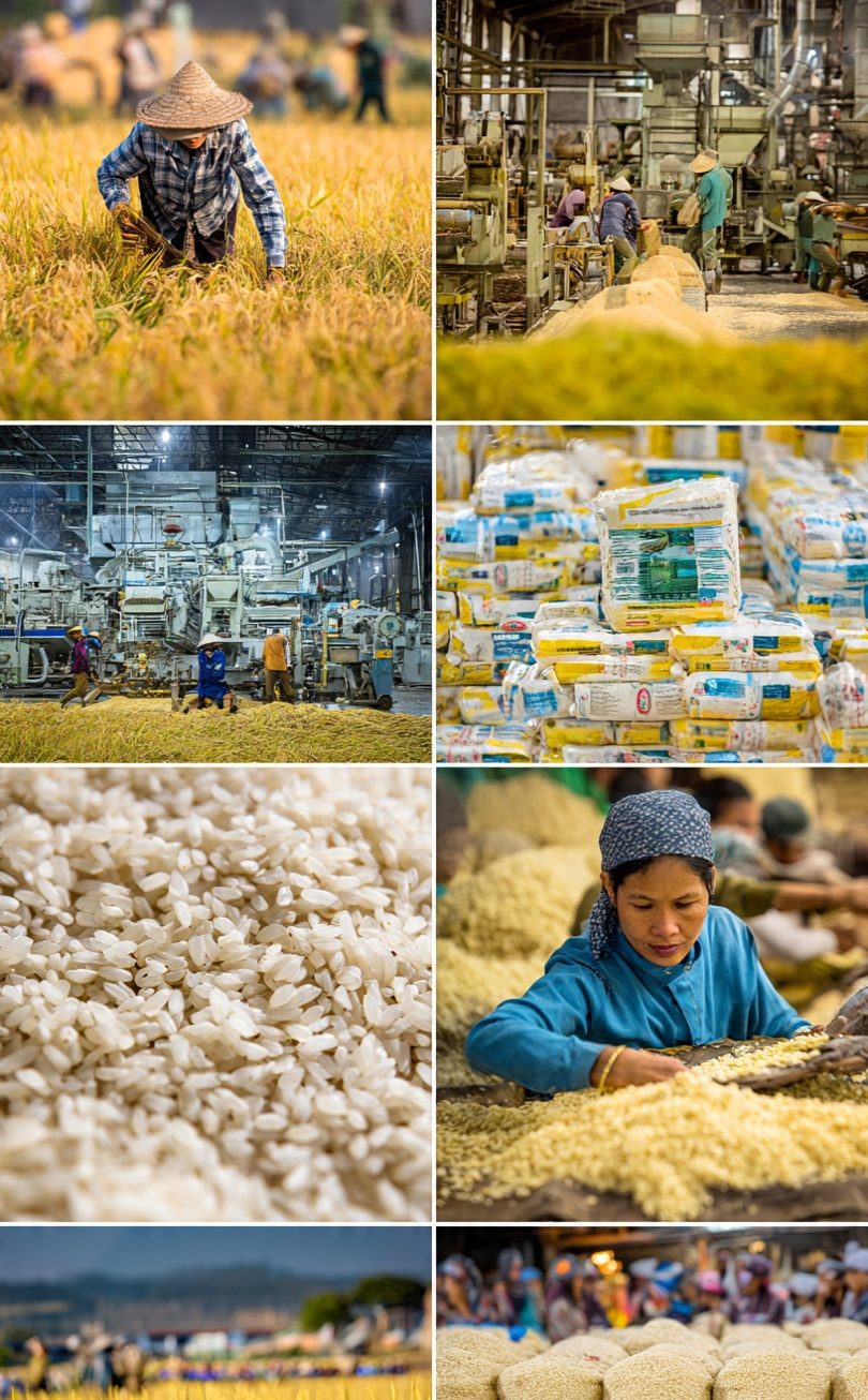 VALUE ADDITION AS A BASIS FOR ENHANCING PRODUCTIVITY IN RICE PRODUCTION AND PROCESSING