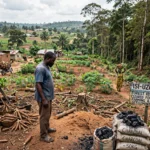A realistic photo capturing the topic: EFFECTS OF SOCIO-ECONOMIC CHARACTERISTICS ON FORESTLAND CONVERSION IN ISI-UZO L.G.A OF ENUGU STATE, NIGERIA